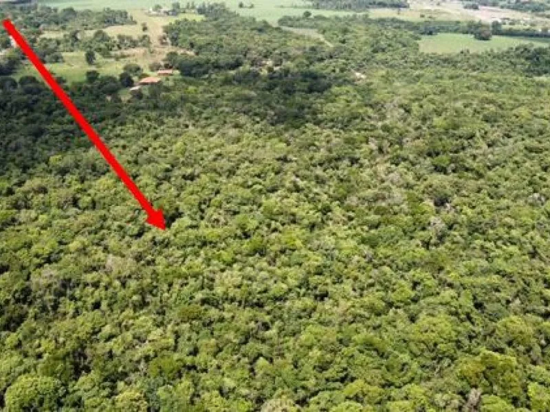 Imóvel rural em leilão