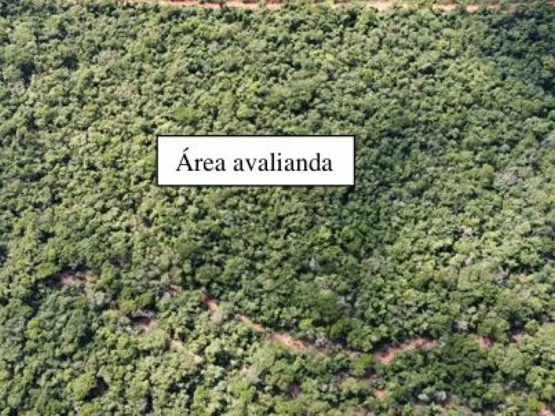 Imóvel rural em leilão