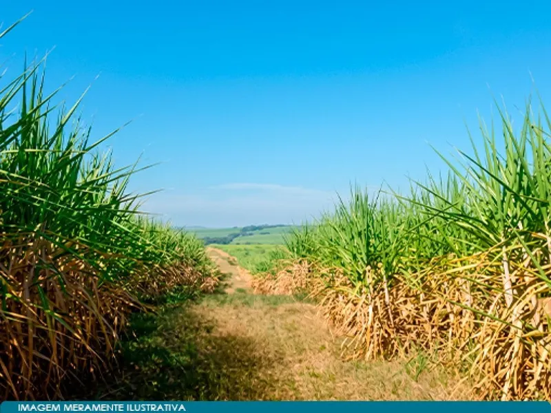 Imóvel rural em leilão