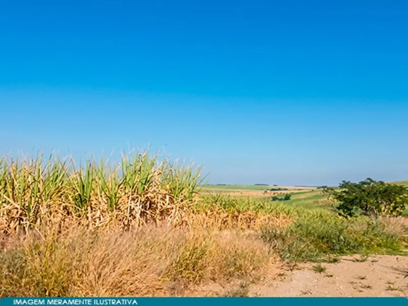 Imóvel rural em leilão