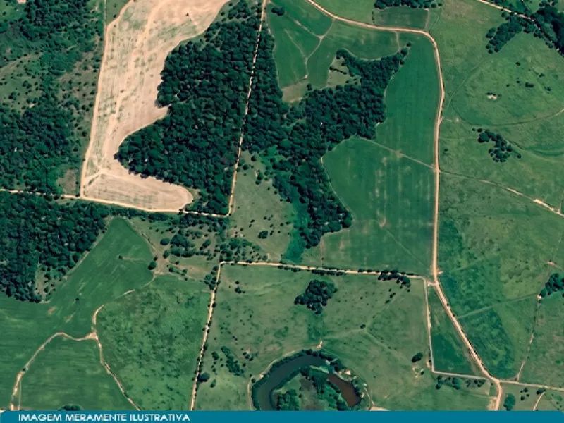 Imóvel rural em leilão