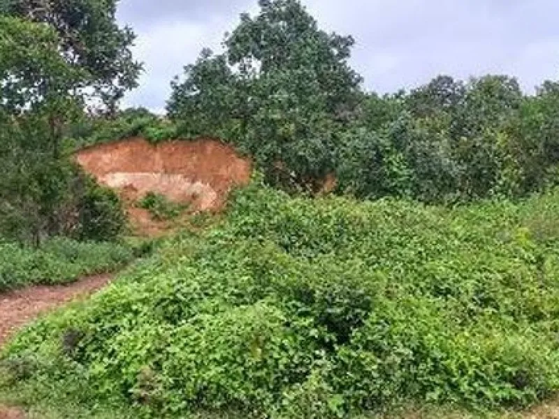 Terreno em leilão
