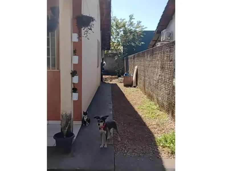 Casa em leilão