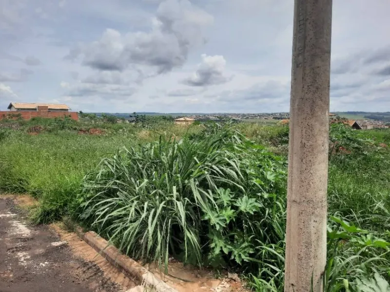 Terreno em leilão