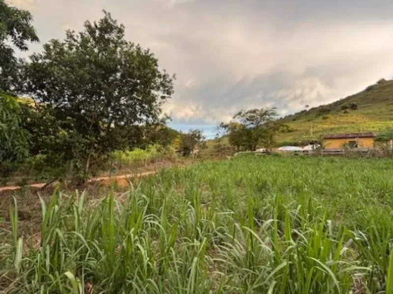 Imóvel rural em leilão