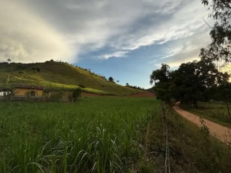 Imóvel rural em leilão