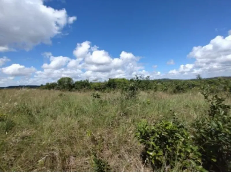 Terreno em leilão