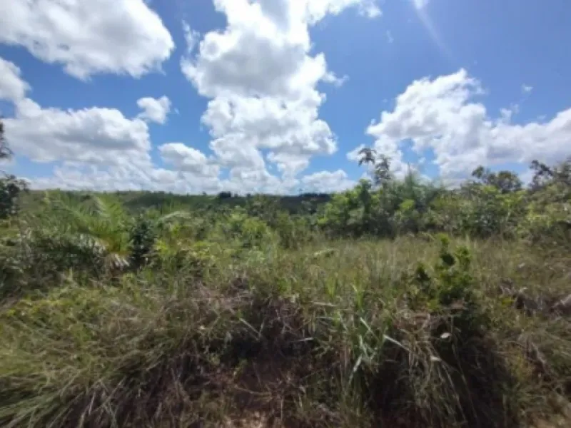 Terreno em leilão