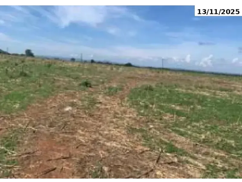 Imóvel rural em leilão