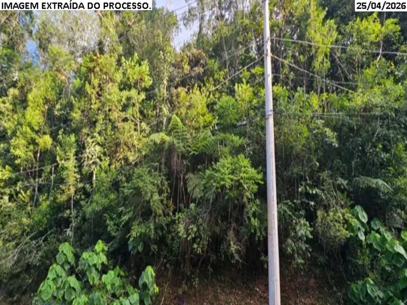 Terreno em leilão