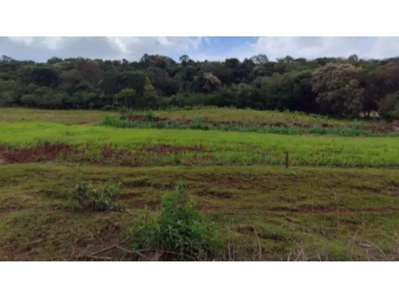 Imóvel rural em leilão
