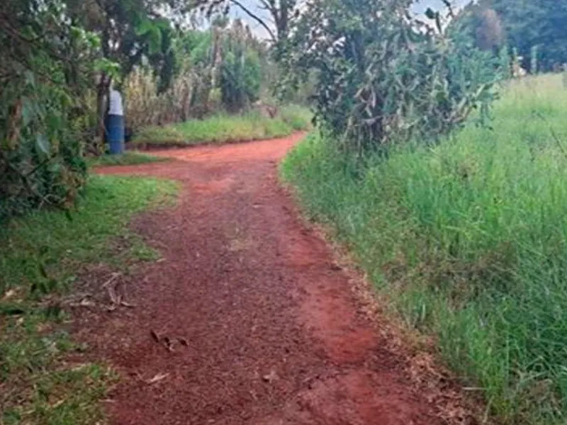 Terreno em leilão