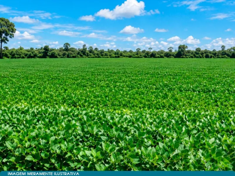 Imóvel rural em leilão