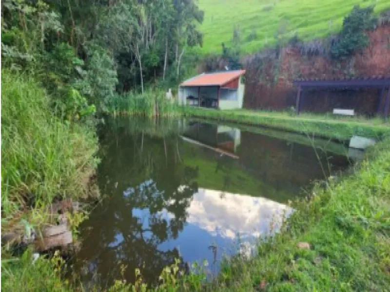 Imóvel rural em leilão