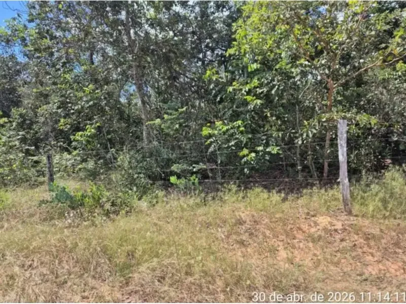 Imóvel rural em leilão