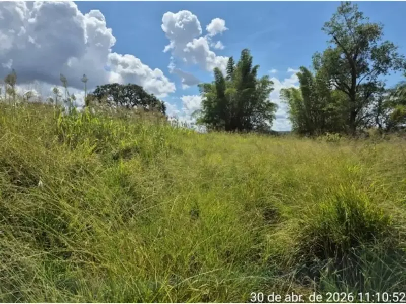 Imóvel rural em leilão