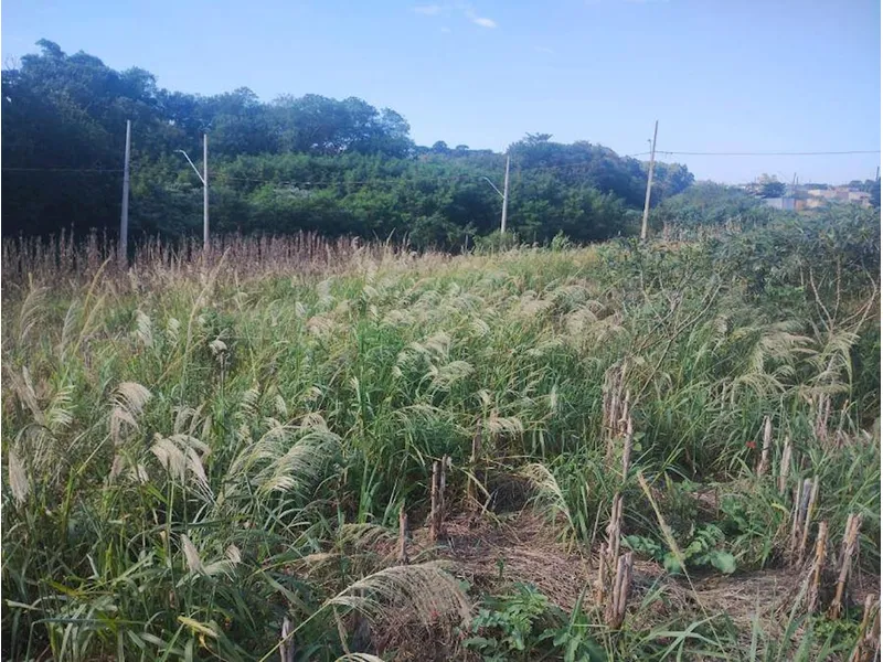 Terreno em leilão