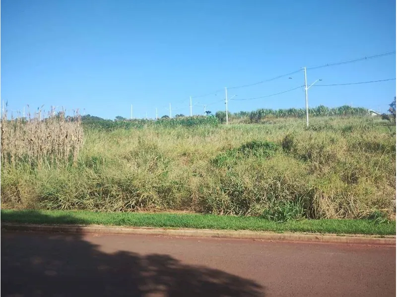 Terreno em leilão