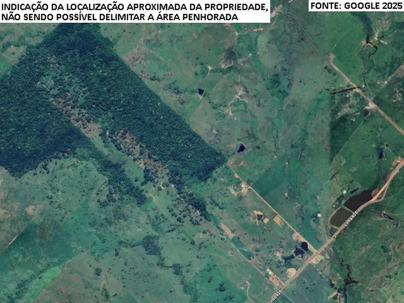 Imóvel rural em Leilão Judicial