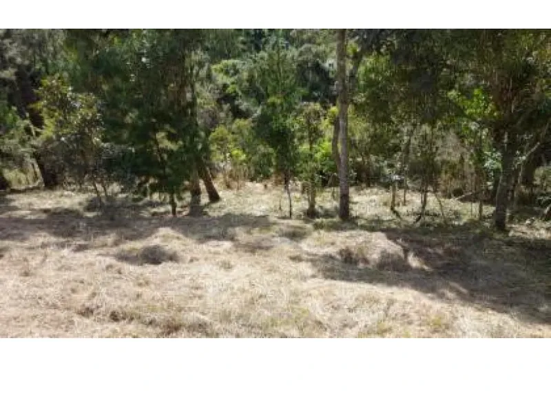 Terreno em leilão